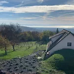 Nagykulcsos Nyulontul Mencshely