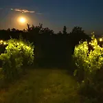 Nagykulcsos Nyulontul Case de vacanță