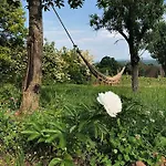 Nagykulcsos Nyulontul Case de vacanță
