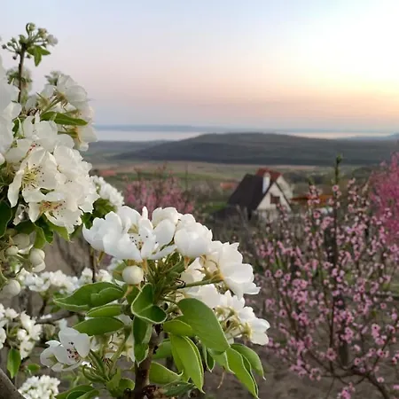 Nagykulcsos Nyulontul Casa de Férias Mencshely
