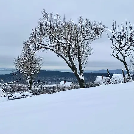 Nagykulcsos Nyulontul *
